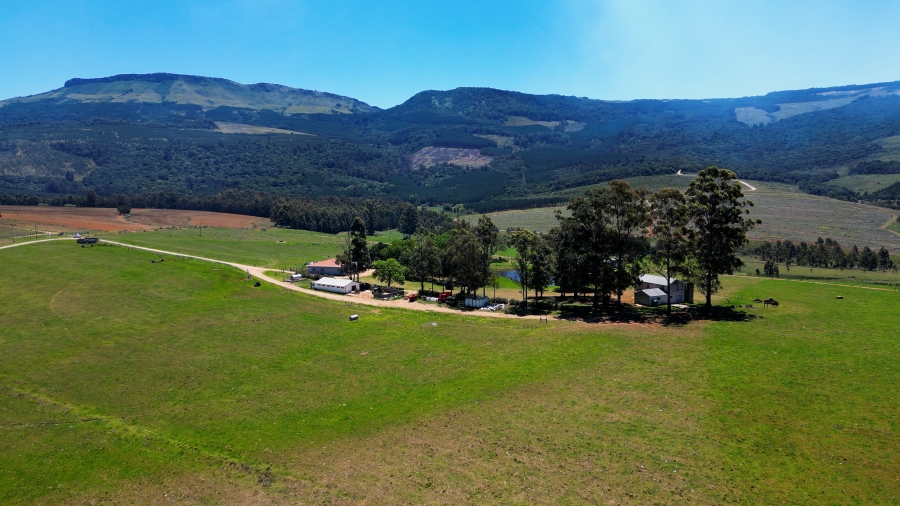 0 Bedroom Property for Sale in Stutterheim Rural Eastern Cape